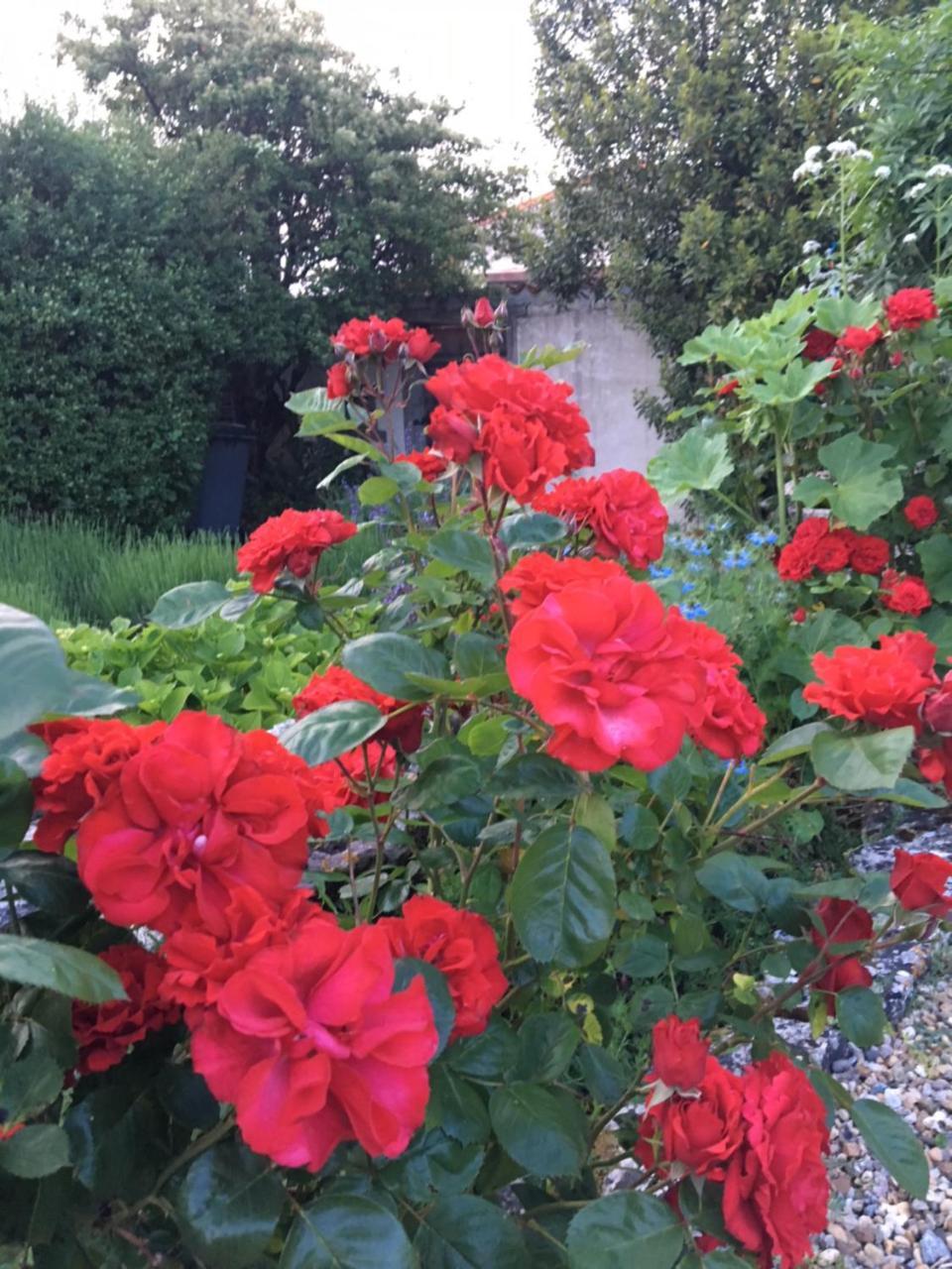 Campagn'Art Bed & Breakfast Les Fosses ภายนอก รูปภาพ